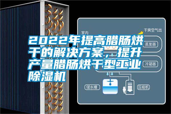 2022年提高臘腸烘干的解決方案，提升產(chǎn)量臘腸烘干型工業(yè)除濕機(jī)