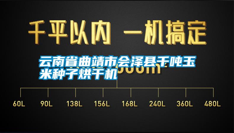 云南省曲靖市會澤縣千噸玉米種子烘干機