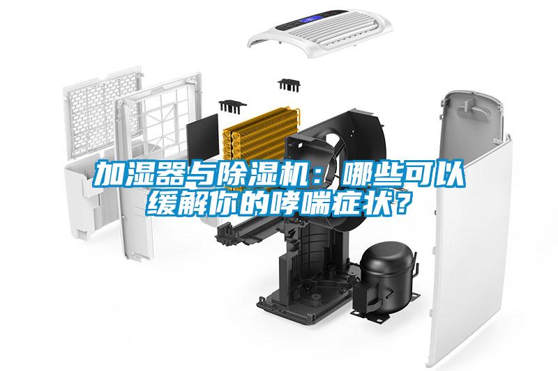 加濕器與除濕機(jī)：哪些可以緩解你的哮喘癥狀？