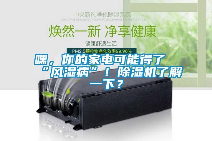 嘿，你的家電可能得了“風(fēng)濕病”！除濕機了解一下？