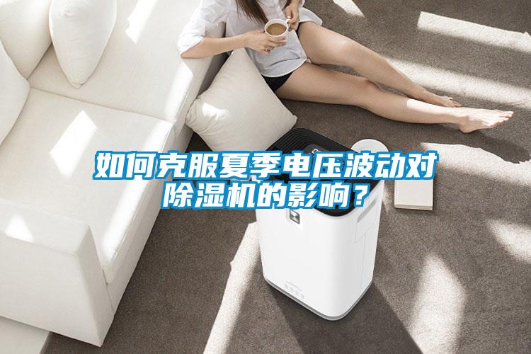 如何克服夏季電壓波動對除濕機的影響？