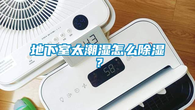 地下室太潮濕怎么除濕？