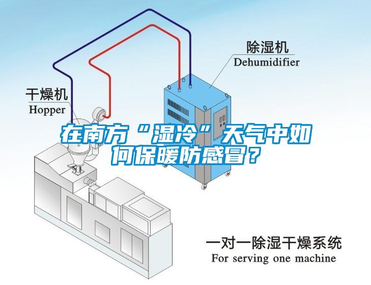 在南方“濕冷”天氣中如何保暖防感冒？