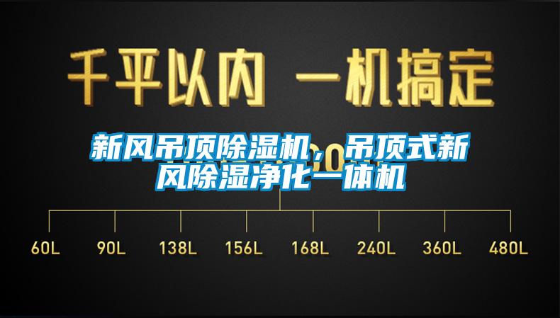 新風吊頂除濕機，吊頂式新風除濕凈化一體機