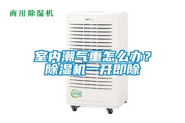 室內(nèi)潮氣重怎么辦？除濕機(jī)一開即除