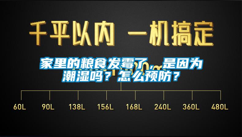 家里的糧食發(fā)霉了，是因?yàn)槌睗駟?？怎么預(yù)防？