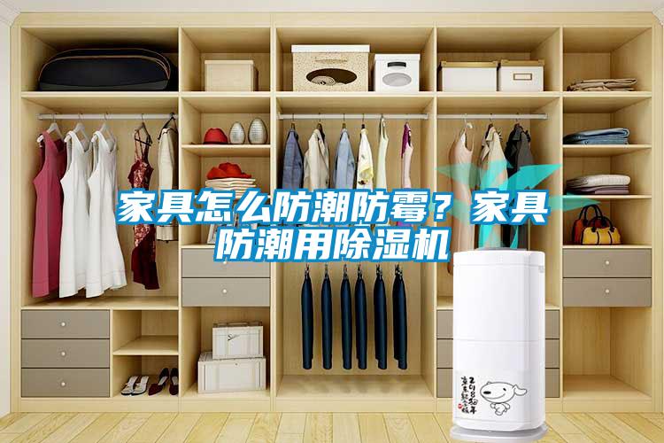 家具怎么防潮防霉？家具防潮用除濕機