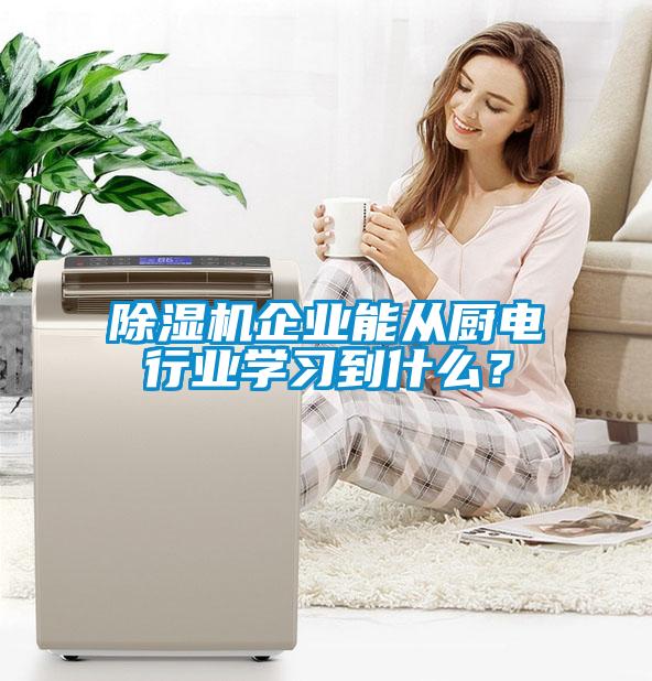 除濕機企業(yè)能從廚電行業(yè)學習到什么？