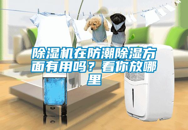 除濕機(jī)在防潮除濕方面有用嗎？看你放哪里