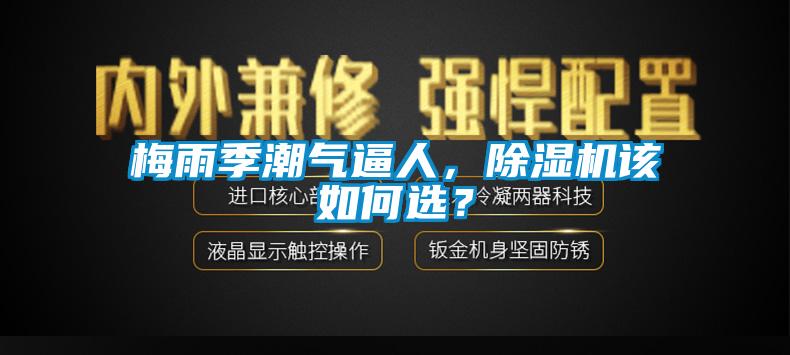 梅雨季潮氣逼人，除濕機(jī)該如何選？