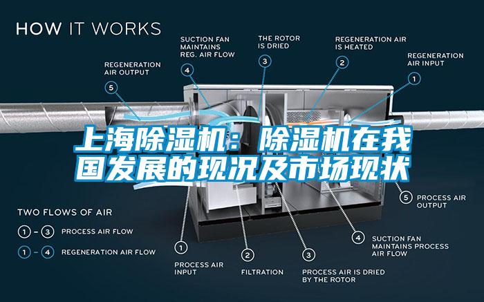 上海除濕機(jī)：除濕機(jī)在我國(guó)發(fā)展的現(xiàn)況及市場(chǎng)現(xiàn)狀