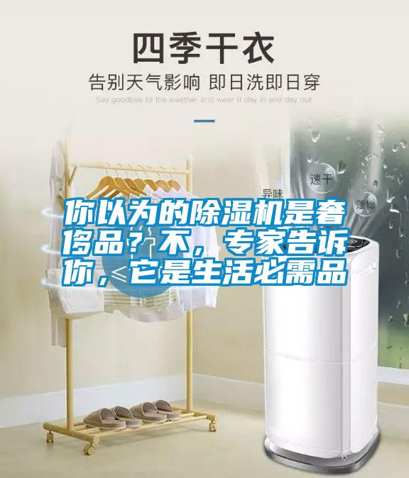 你以為的除濕機(jī)是奢侈品？不，專家告訴你，它是生活必需品