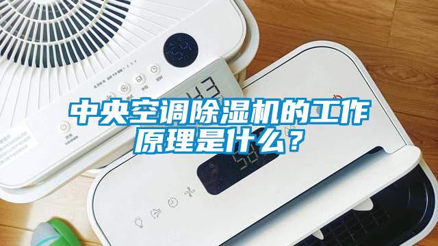 中央空調(diào)除濕機的工作原理是什么？