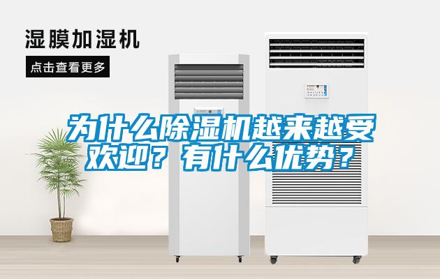 為什么除濕機(jī)越來越受歡迎？有什么優(yōu)勢(shì)？