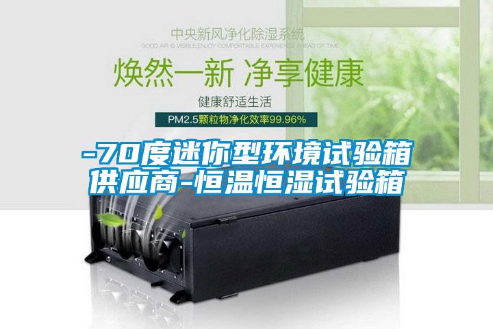 -70度迷你型環(huán)境試驗箱供應(yīng)商-恒溫恒濕試驗箱