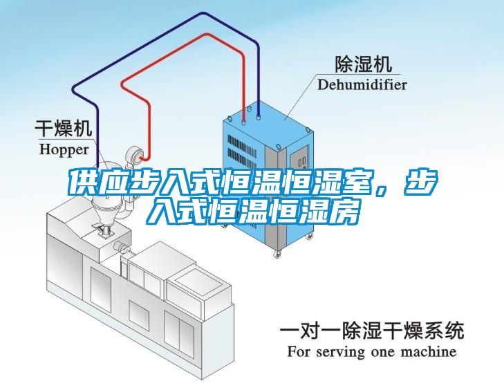 供應步入式恒溫恒濕室，步入式恒溫恒濕房