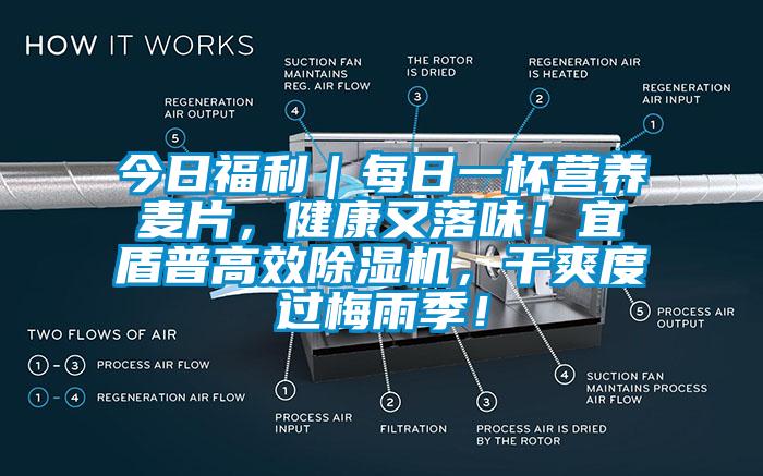 今日福利｜每日一杯營養(yǎng)麥片，健康又落味！宜盾普高效除濕機，干爽度過梅雨季！