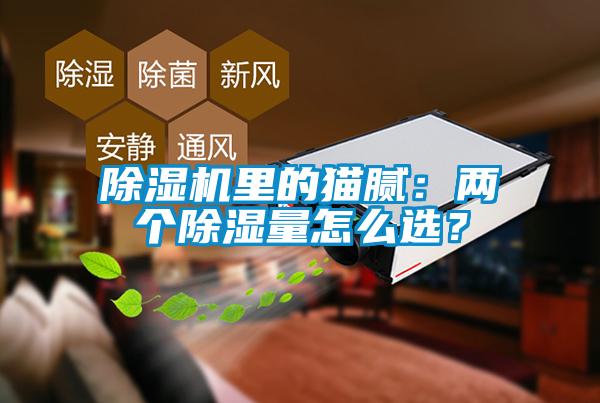 除濕機里的貓膩：兩個除濕量怎么選？