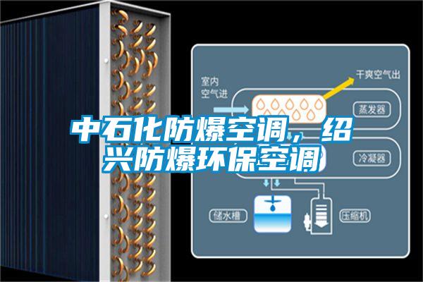 中石化防爆空調(diào)，紹興防爆環(huán)?？照{(diào)