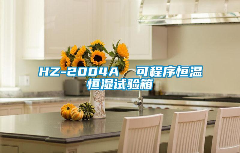 HZ-2004A  可程序恒溫恒濕試驗箱