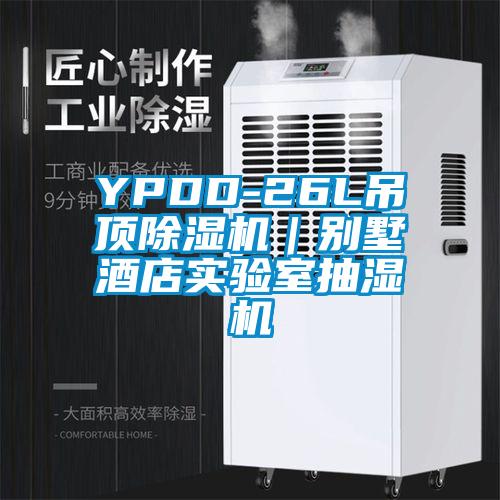 YPDD-26L吊頂除濕機(jī)｜別墅酒店實(shí)驗(yàn)室抽濕機(jī)