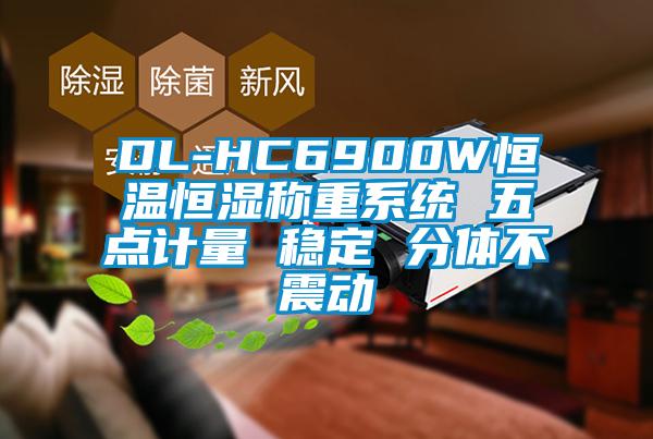 DL-HC6900W恒溫恒濕稱重系統(tǒng) 五點(diǎn)計(jì)量 穩(wěn)定 分體不震動