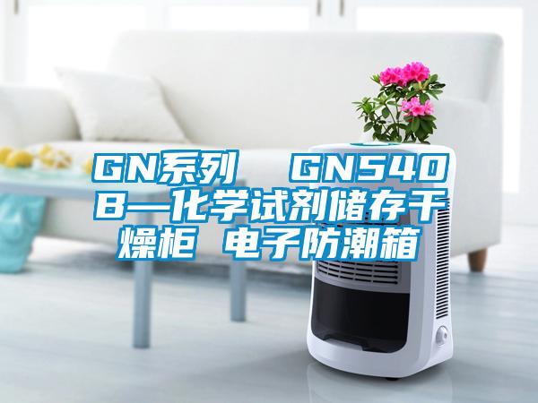 GN系列  GN540B—化學(xué)試劑儲存干燥柜 電子防潮箱