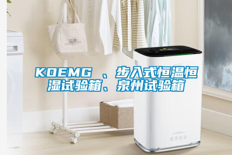 KOEMG 、步入式恒溫恒濕試驗箱、泉州試驗箱