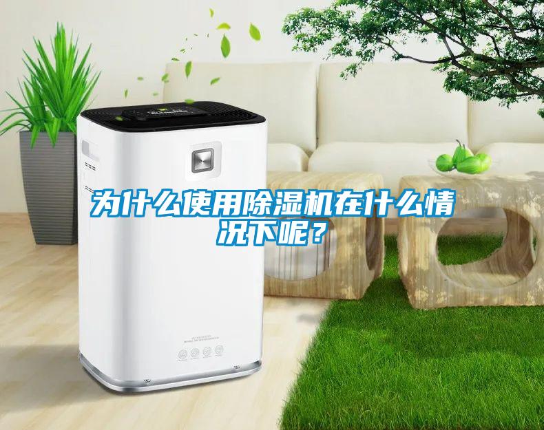 為什么使用除濕機(jī)在什么情況下呢？