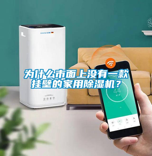 為什么市面上沒有一款掛壁的家用除濕機？