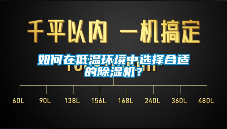 如何在低溫環(huán)境中選擇合適的除濕機(jī)？