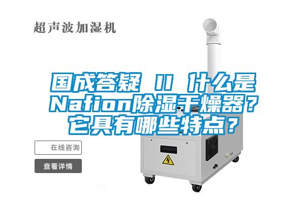 國成答疑 II 什么是Nafion除濕干燥器？它具有哪些特點？