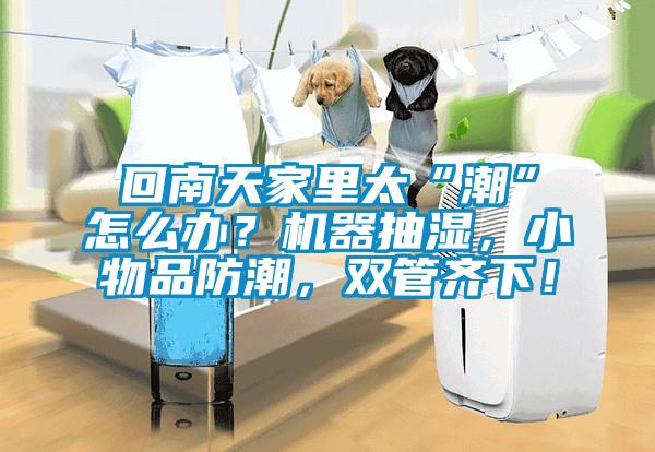 回南天家里太“潮”怎么辦？機器抽濕，小物品防潮，雙管齊下！