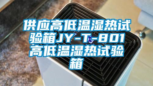 供應(yīng)高低溫濕熱試驗(yàn)箱JY-T-801高低溫濕熱試驗(yàn)箱