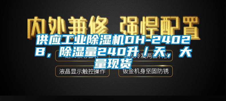 供應(yīng)工業(yè)除濕機(jī)DH-2402B，除濕量240升／天，大量現(xiàn)貨