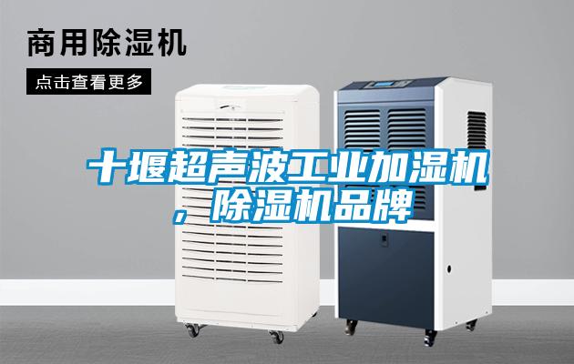 十堰超聲波工業(yè)加濕機(jī)，除濕機(jī)品牌