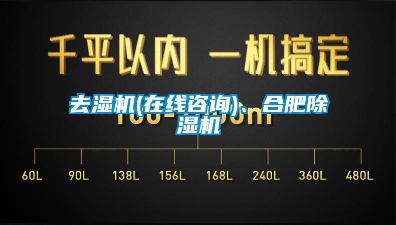 去濕機(jī)(在線咨詢)、合肥除濕機(jī)