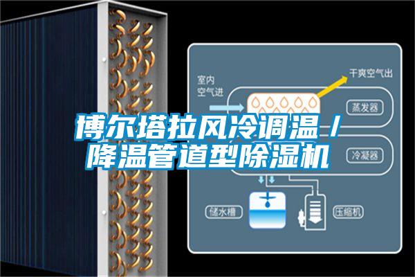 博爾塔拉風(fēng)冷調(diào)溫／降溫管道型除濕機