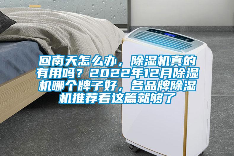 回南天怎么辦，除濕機真的有用嗎？2022年12月除濕機哪個牌子好，各品牌除濕機推薦看這篇就夠了