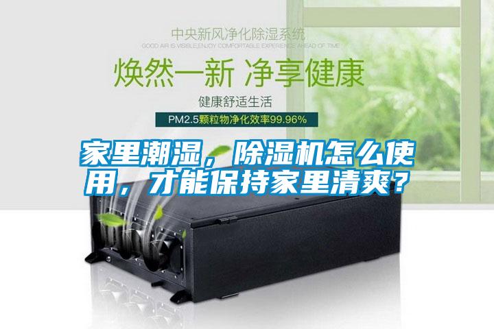 家里潮濕，除濕機(jī)怎么使用，才能保持家里清爽？