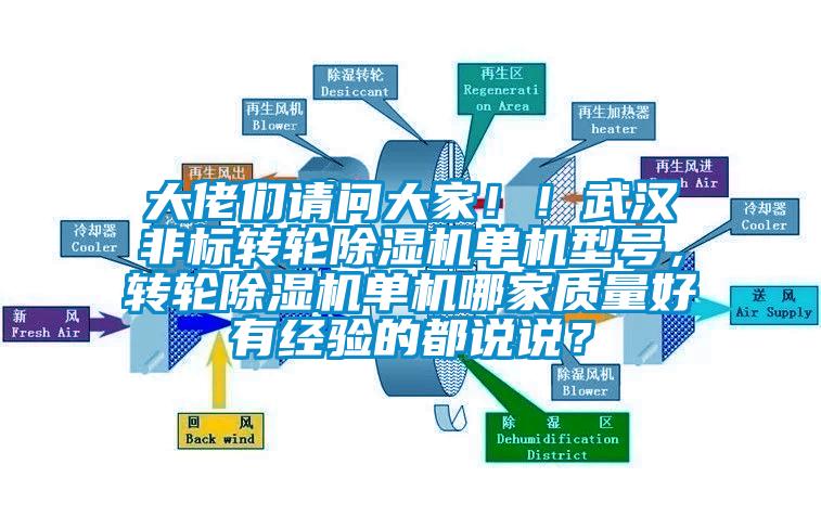 大佬們請問大家??！武漢非標(biāo)轉(zhuǎn)輪除濕機(jī)單機(jī)型號，轉(zhuǎn)輪除濕機(jī)單機(jī)哪家質(zhì)量好有經(jīng)驗(yàn)的都說說？