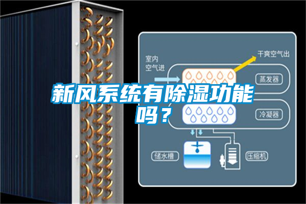 新風(fēng)系統(tǒng)有除濕功能嗎？