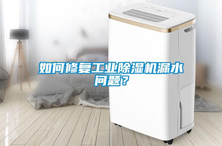 如何修復工業(yè)除濕機漏水問題？