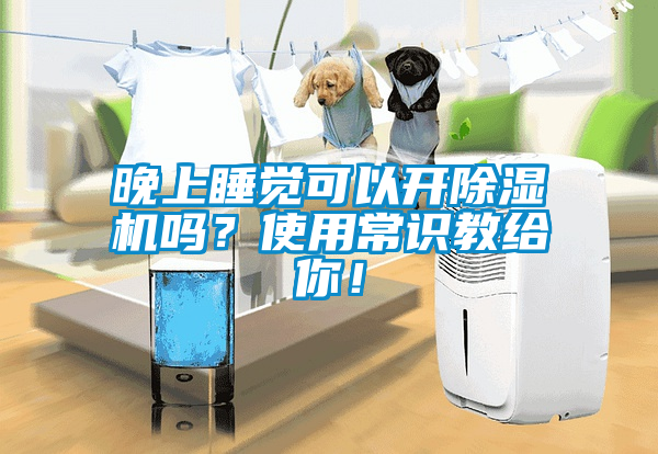 晚上睡覺可以開除濕機嗎？使用常識教給你！