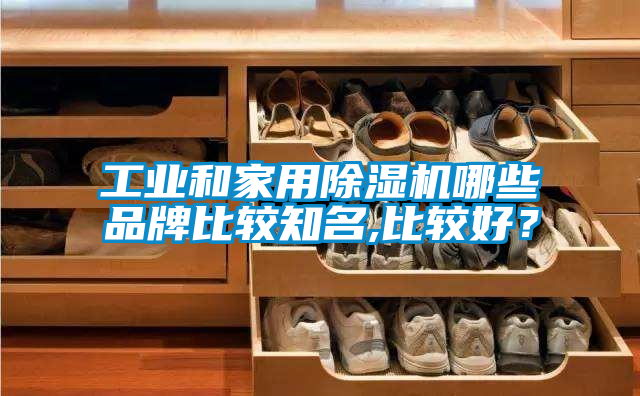 工業(yè)和家用除濕機哪些品牌比較知名,比較好？