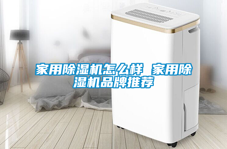 家用除濕機怎么樣 家用除濕機品牌推薦