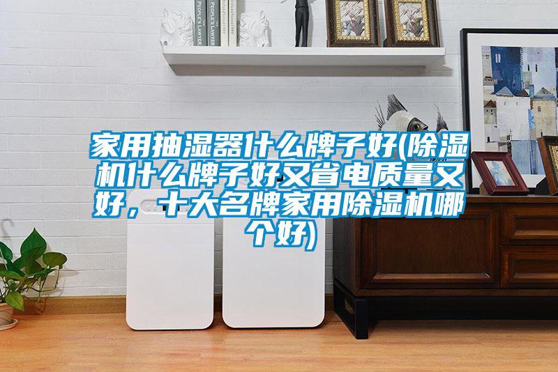 家用抽濕器什么牌子好(除濕機(jī)什么牌子好又省電質(zhì)量又好，十大名牌家用除濕機(jī)哪個(gè)好)