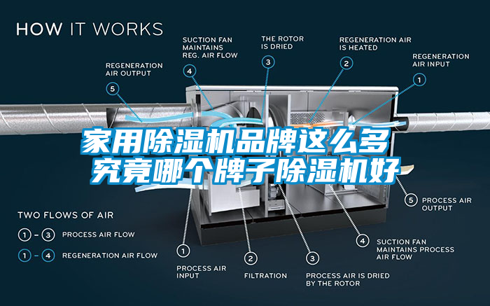 家用除濕機品牌這么多 究竟哪個牌子除濕機好