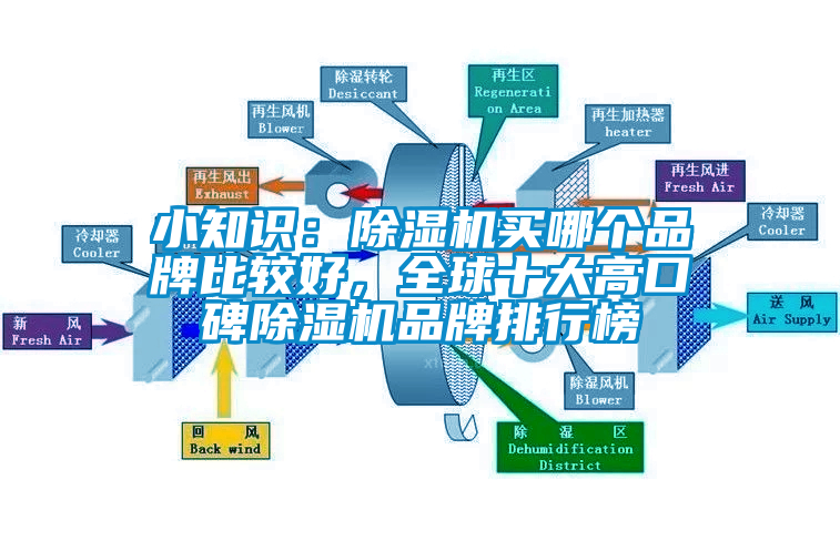 小知識(shí)：除濕機(jī)買哪個(gè)品牌比較好，全球十大高口碑除濕機(jī)品牌排行榜