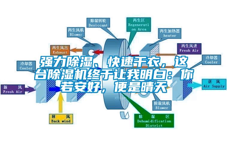 強(qiáng)力除濕、快速干衣，這臺除濕機(jī)終于讓我明白：你若安好，便是晴天